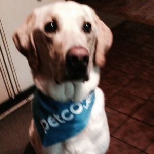 Meet your Posher, Jane